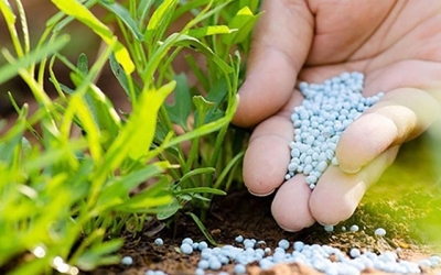 Giá urê bắt ngờ tăng vọt sau một đêm, triển vọng nào cho ngành phân bón?