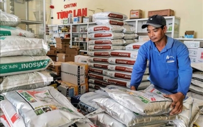 Giá phân bón biến động không theo quy luật mùa vụ