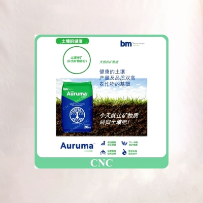 Auruma (bao)