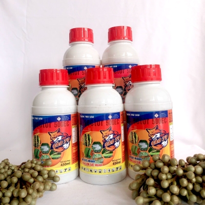 Cáo 79 (Chai)
