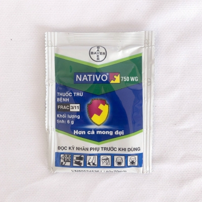 Nativo (Gói)