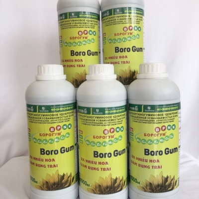 Boro gum (chai)