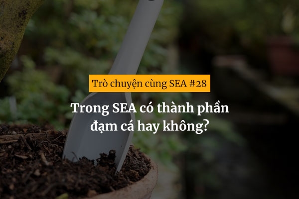 [Trò chuyện cùng SEA #28] Trong SEA có thành phần đạm cá hay không?